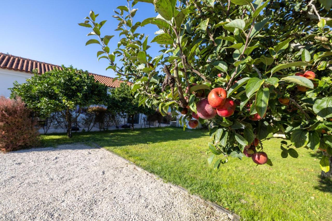 Casa Da Lagoa e Forja - Turismo Rural Mira (Coimbra) Exterior foto